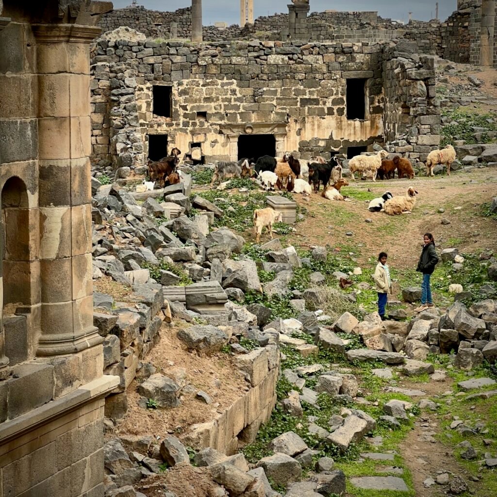 Syria Bosra Old City Local People With Animals