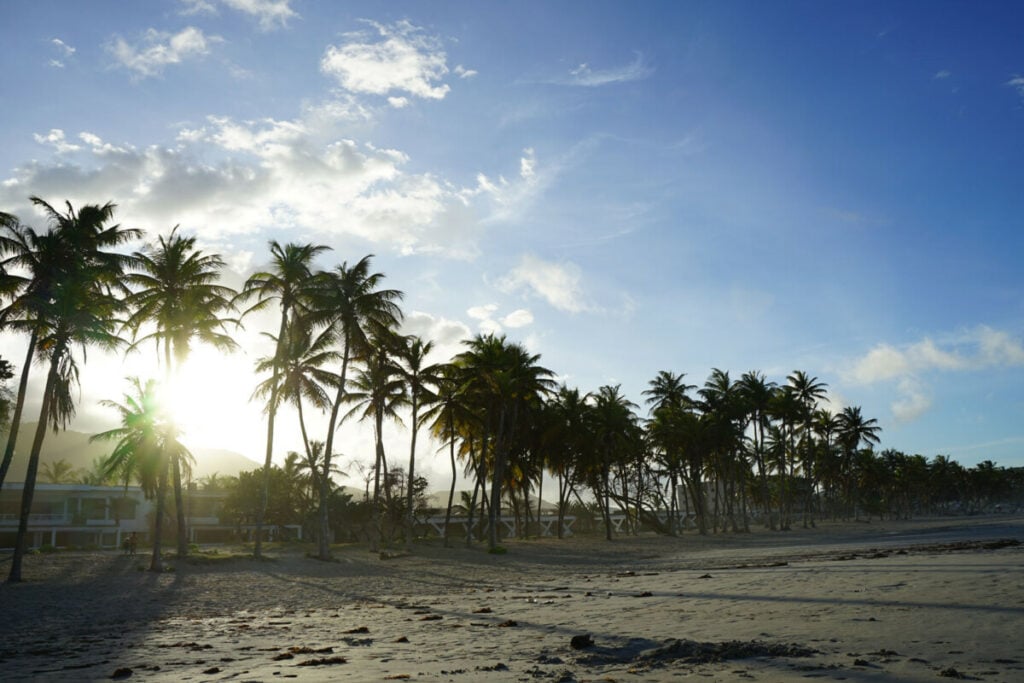 Palm trees at Isla Margarita Beach in Venezuela