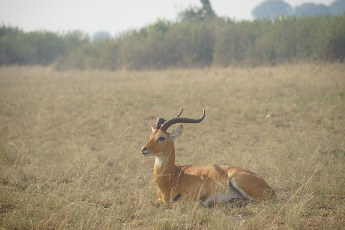 Uganda Tour