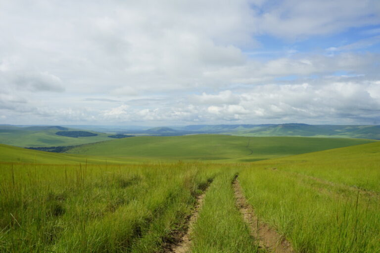 Congo Kinshasa vs Congo Brazzaville CultureRoad