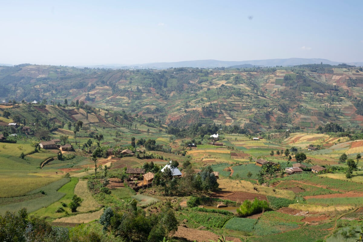 Burundi, green landscape view.