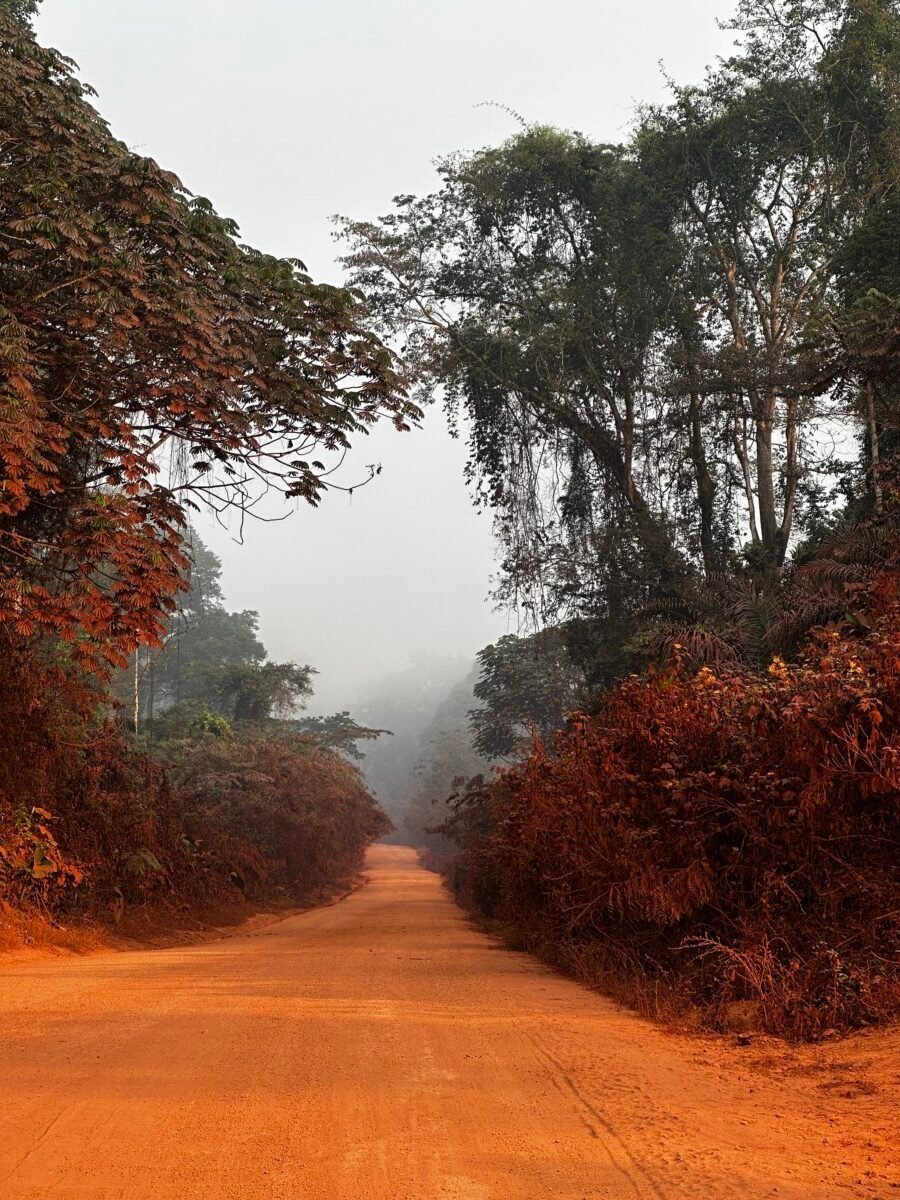 Dzanda-Sangha National park.