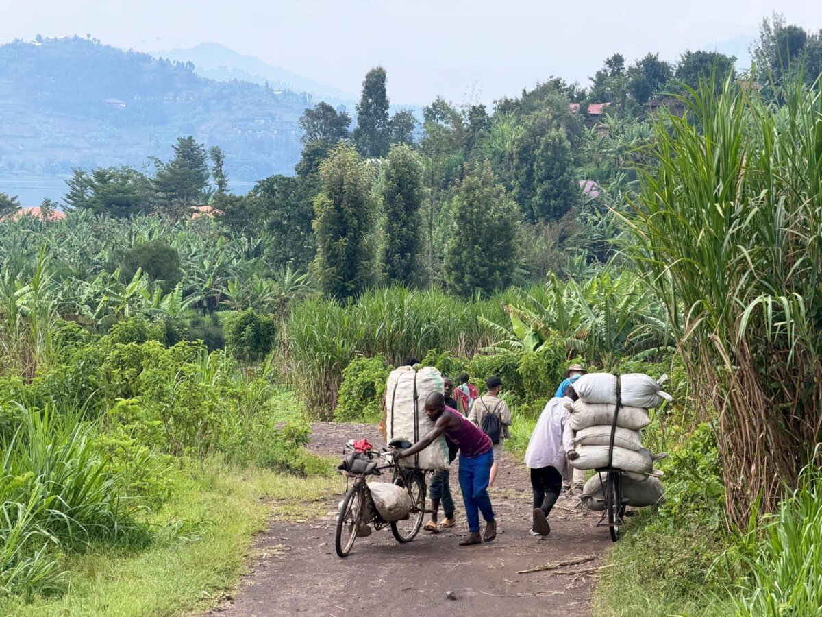 Rwanda Highlights Tour